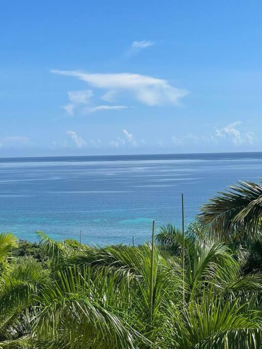 Spring Garden Mobay Resort Luxurious Apartments Montego Bay Exteriér fotografie