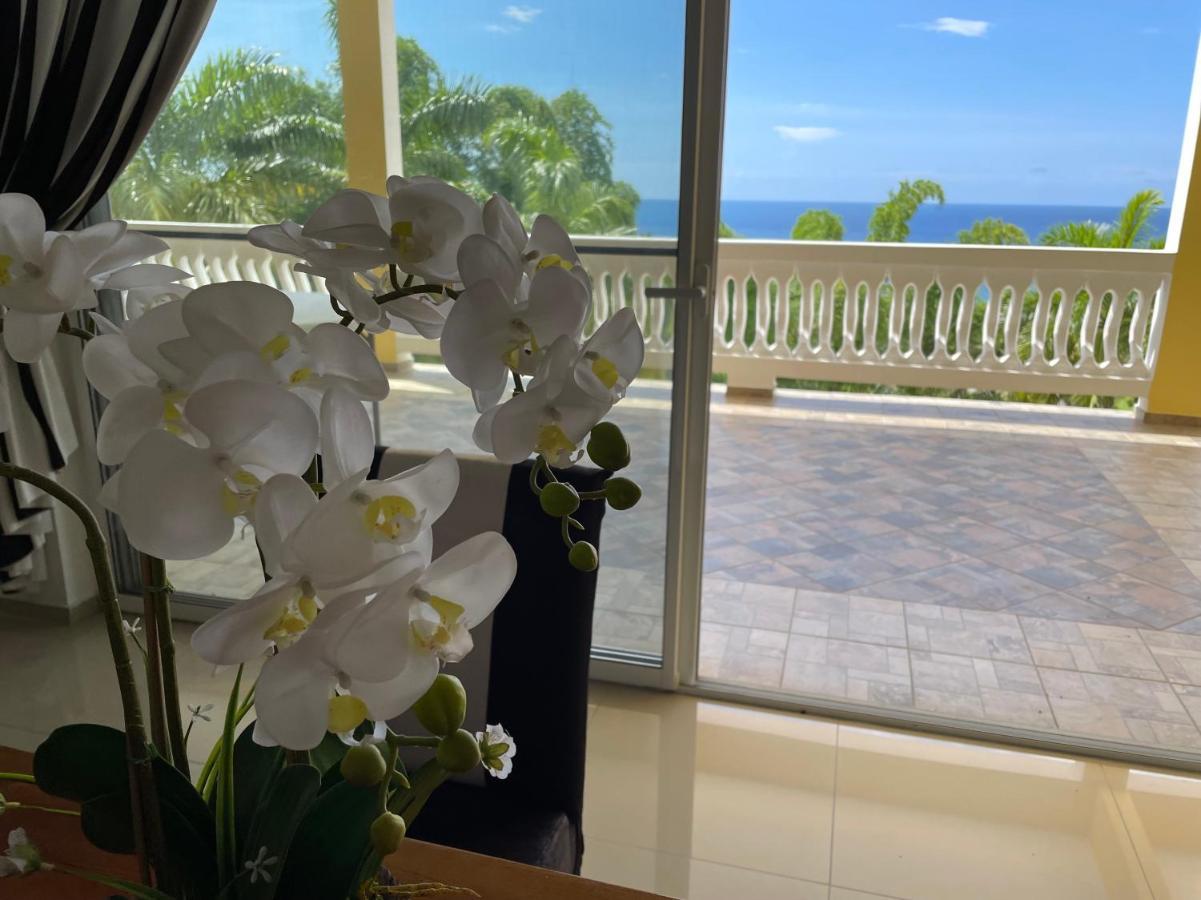 Spring Garden Mobay Resort Luxurious Apartments Montego Bay Exteriér fotografie